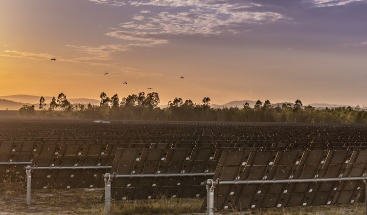 solar panel companies
