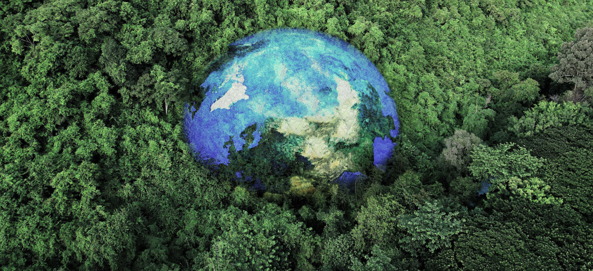 Global Layout