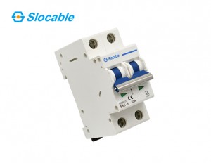 Slocable 2 Pole PV DC Solar Circuit Breaker for Solar System